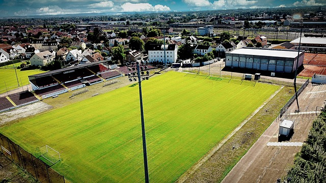 近期状态 近期状态