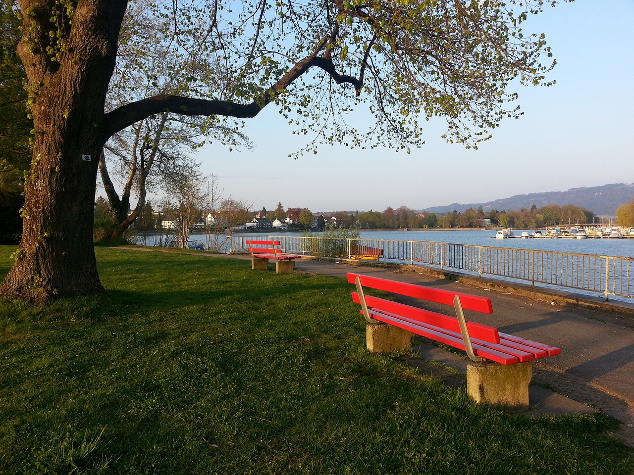 一項體力運 一項體力運